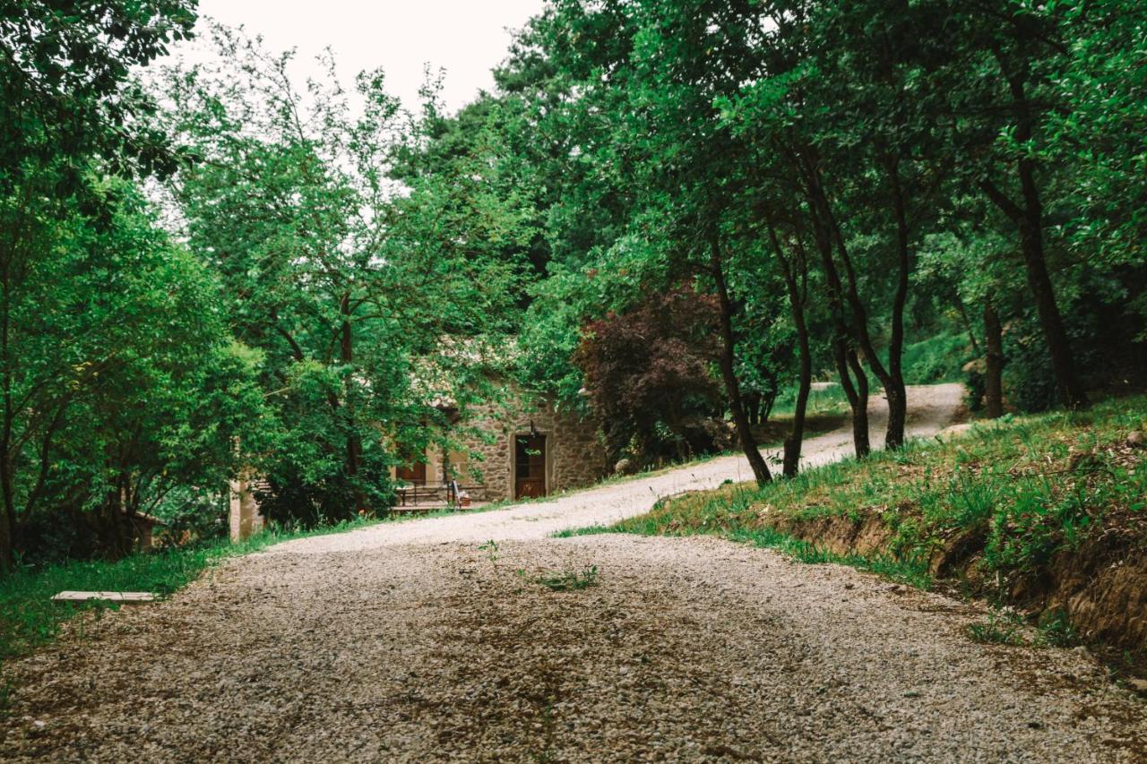 Parulia Country House Arezzo Exterior foto